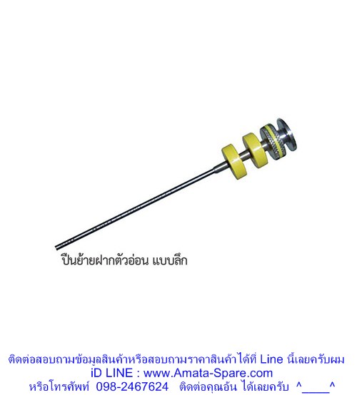 My Image 21